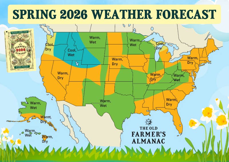 Flowers or Snowdrifts? The Old Farmer's Almanac Reveals Spring 2026 Forecast Flowers or Snowdrifts? The Old Farmer's Almanac Reveals Spring 2026 Forecast