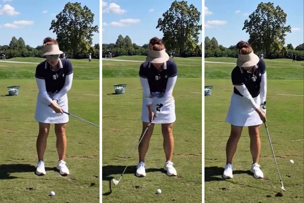 Stop Swatting at the Ball Around the Green Stop Swatting at the Ball Around the Green