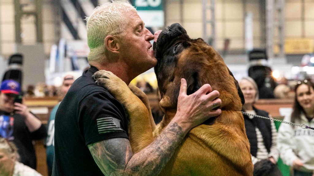 WWE legend opens up on 114kg dog Beast’s 0-a-month diet with a very unusual treat that gets him in trouble