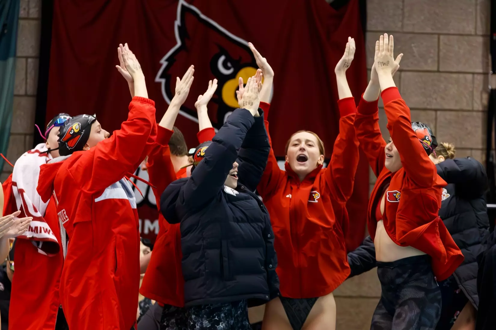 Louisville Swimmers Earn Likely-Invites at Notre Dame Last Chance Meet