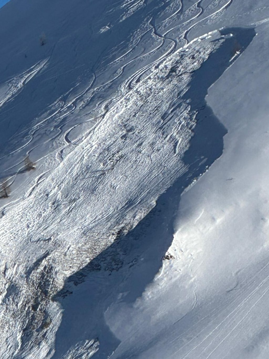 European Avalanche Death Toll Reaches 149 European Avalanche Death Toll Reaches 149