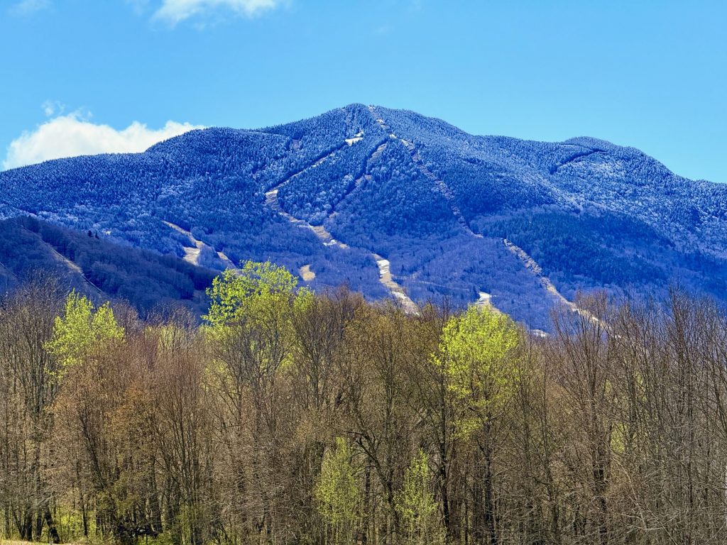 Mountain Updates & Summer Fun Ahead Mountain Updates & Summer Fun Ahead