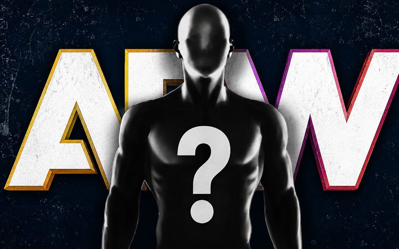Former AEW Star Addresses Wrestling Future After Disappointing Exit Former AEW Star Addresses Wrestling Future After Disappointing Exit