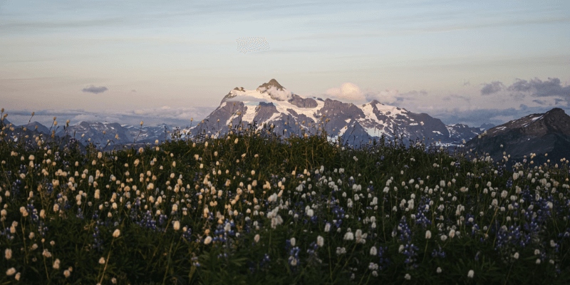 Top 5 Best Ski Resorts Near DC