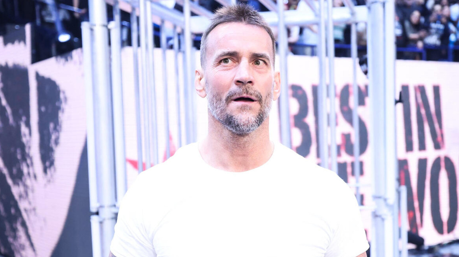 Ace Steel Reveals The One WWE Dream Match He Wants For CM Punk