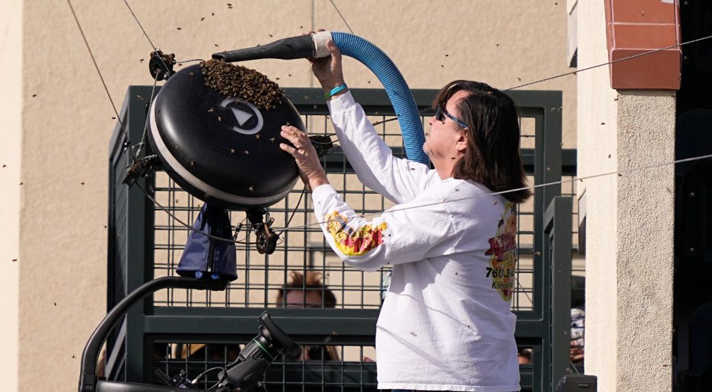 Bees cause a buzz and lengthy disruption at Indian Wells