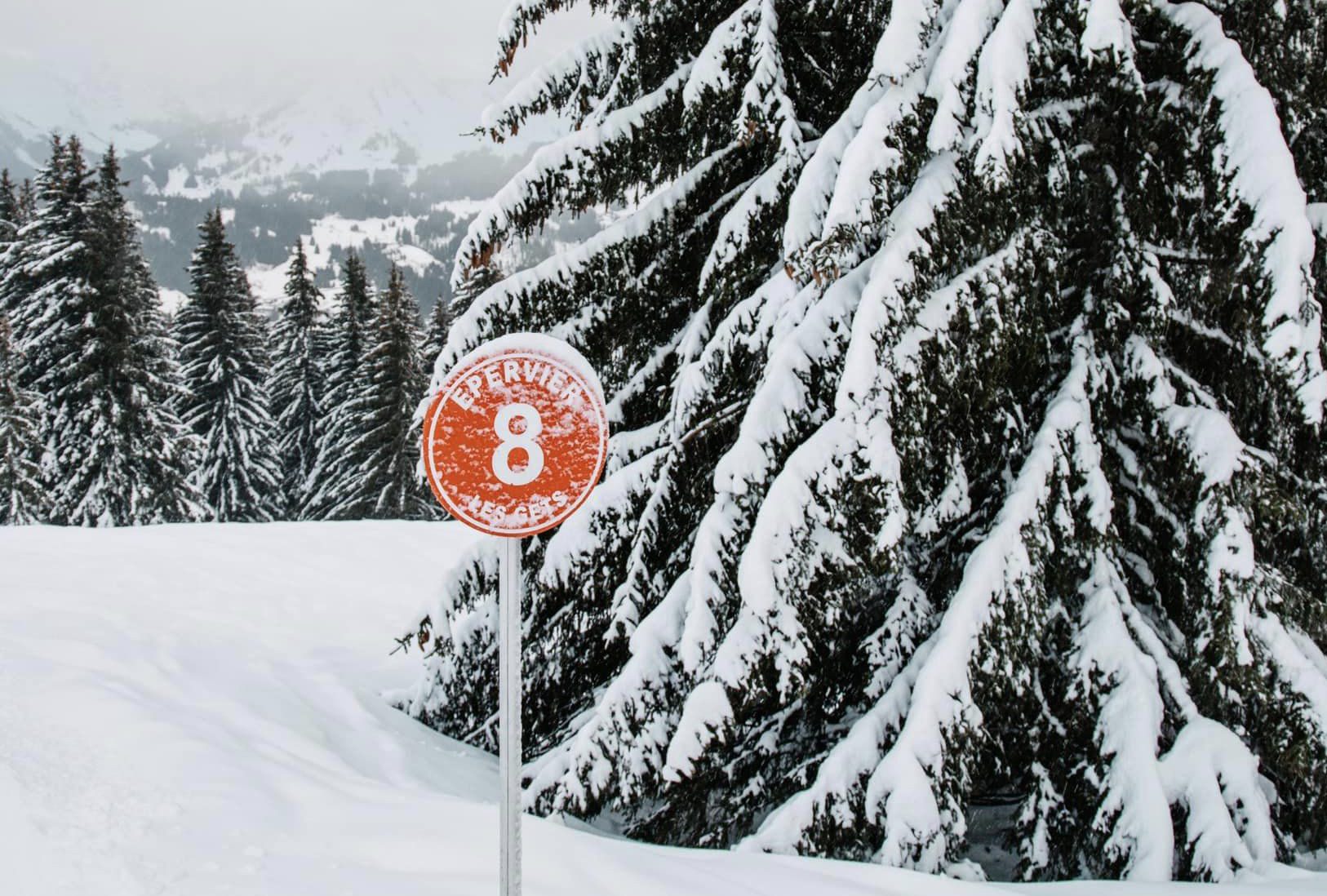 Chamonix First Worldwide To Claim 4m Base