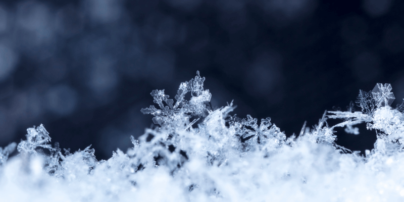 3 Different Types of Snow (and What They Look Like)