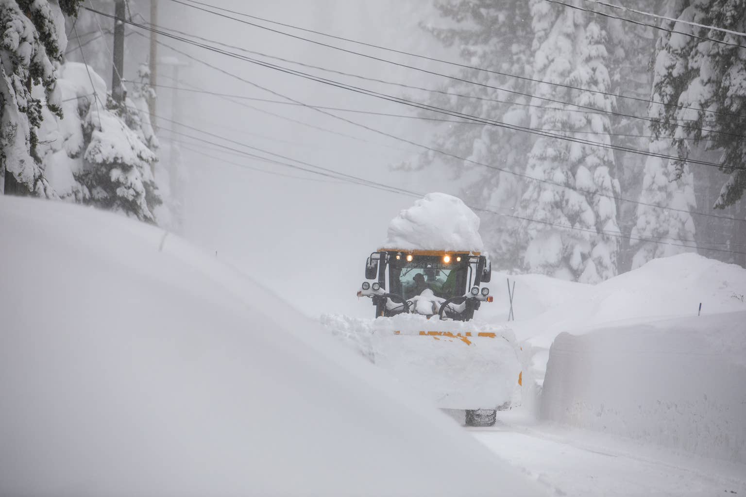 Pillow Hits, Tree Taps, and Powder