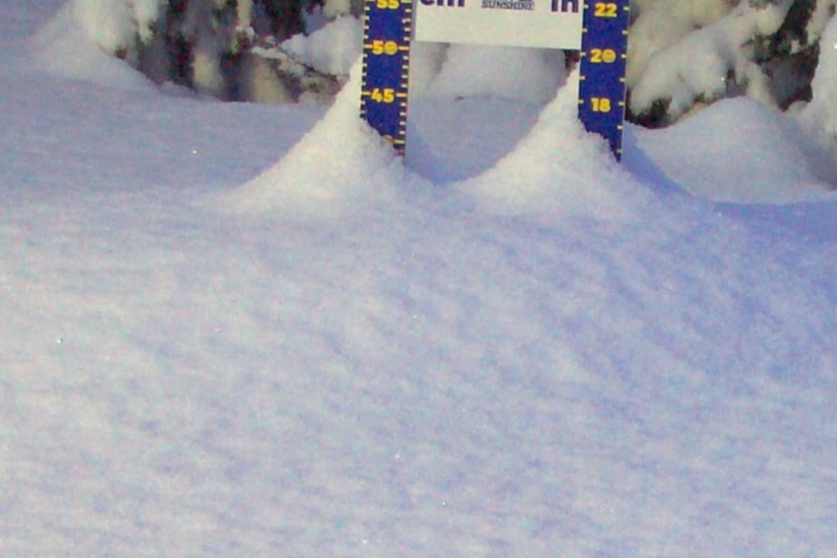 Surprise Overnight Powder Alert Issued At Canadian Ski Resort