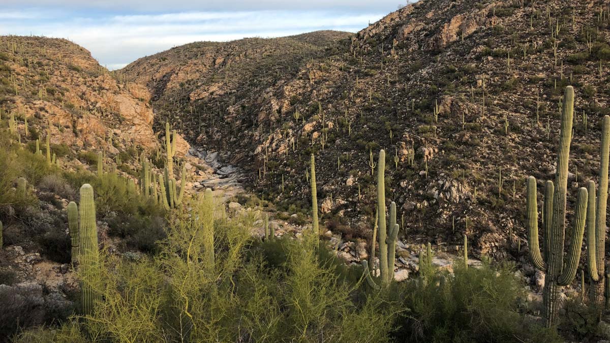 Running and a Sense of Place