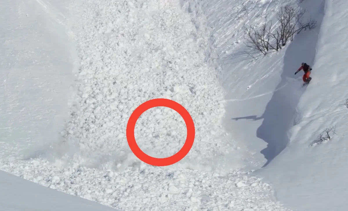 VIDEO: Bunny Rabbit Miraculously Runs Straight Across Avalanche Path