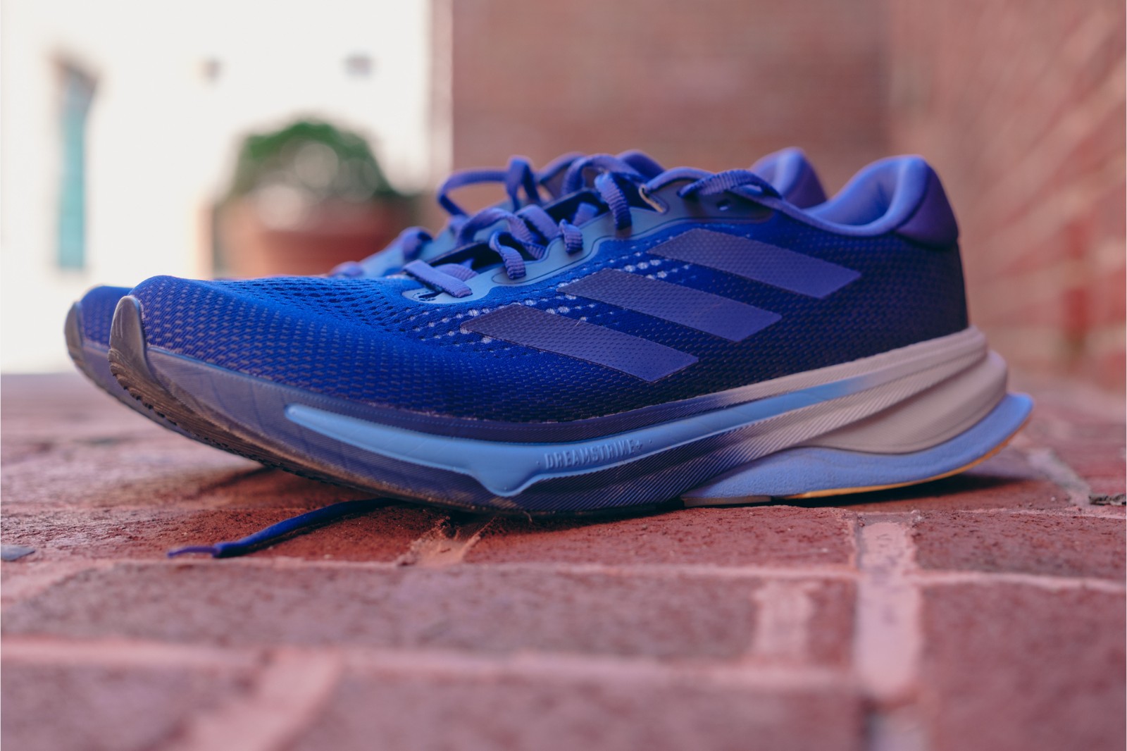 Adidas Supernova Solution Review: Stable as a Neutron Star