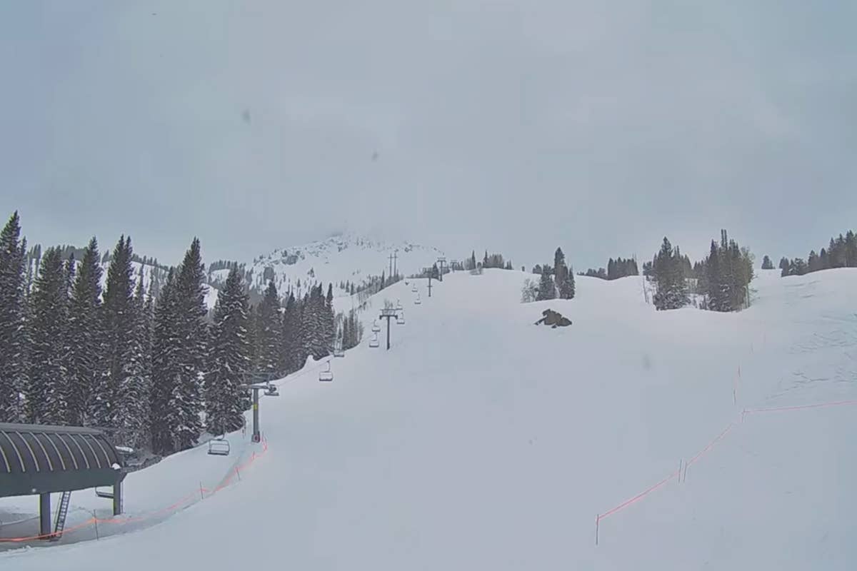 Brighton Resort Announces Closing Day,  Meltdown Season Extension