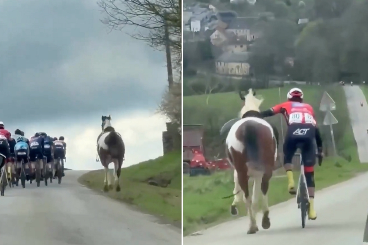 This Cyclist’s Quick Actions Stopped a Horse From Crashing Into A Peloton