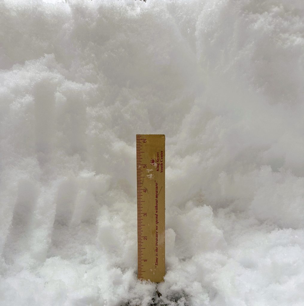 Snowtality Snowtality