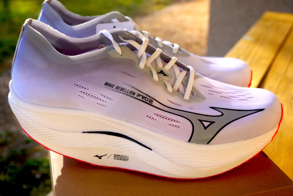 Mizuno Wave Rebellion Pro 2 Review