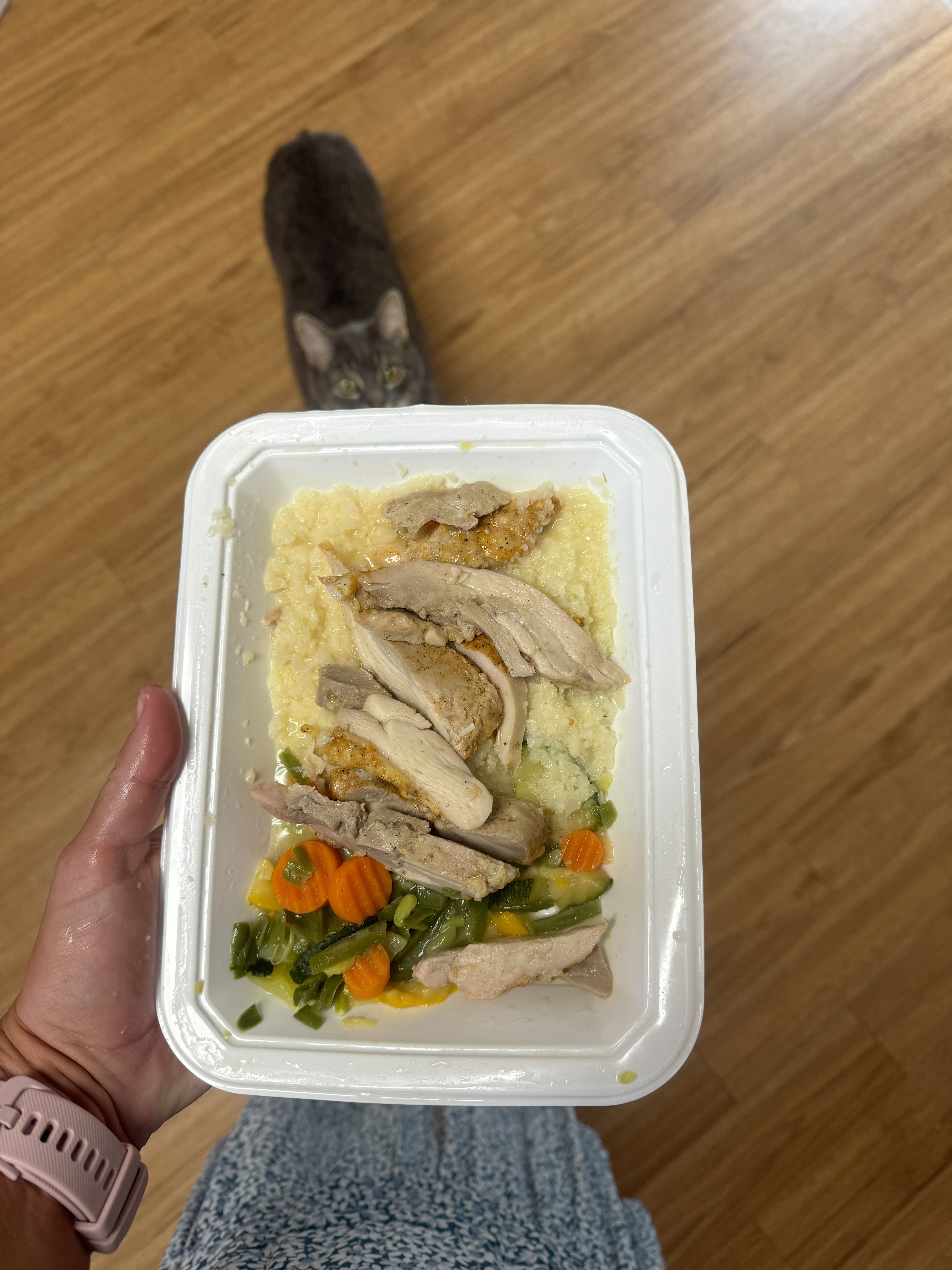 ICON Meals Review