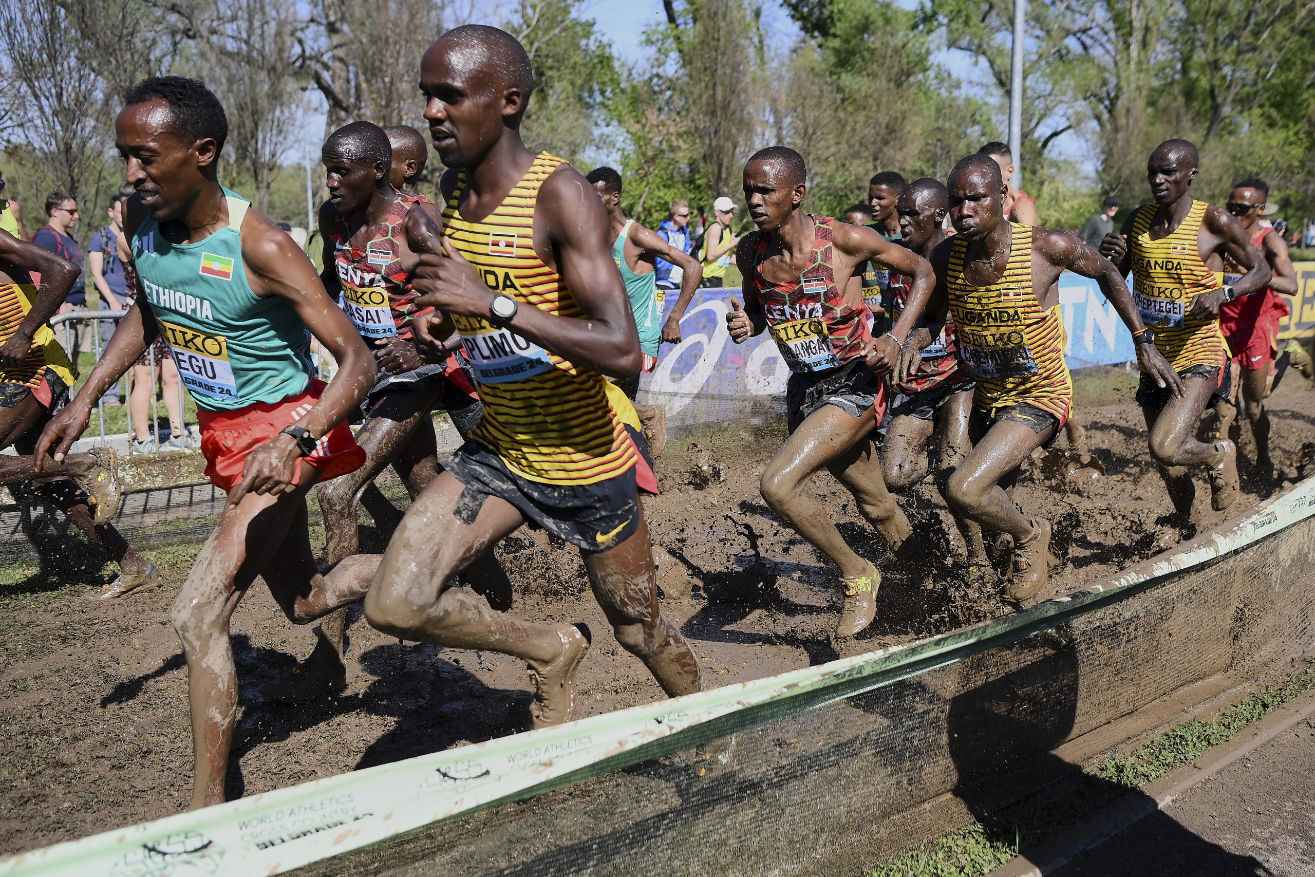 How To Make World XC Matter