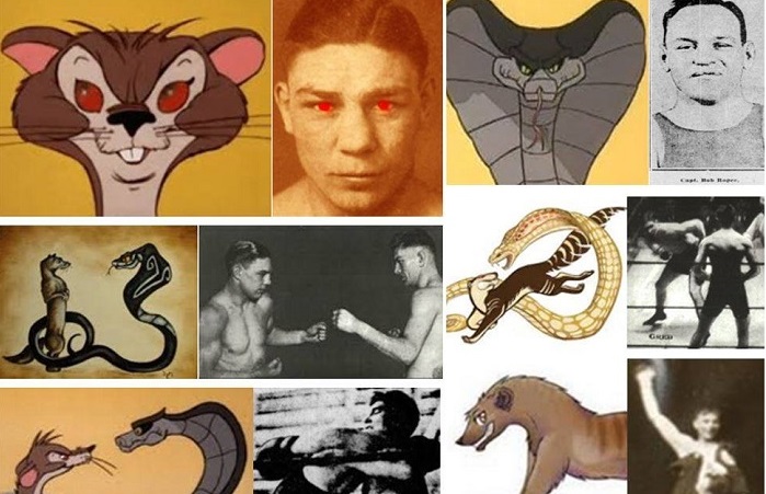 Rikki-Tikki-Harry Rikki-Tikki-Harry