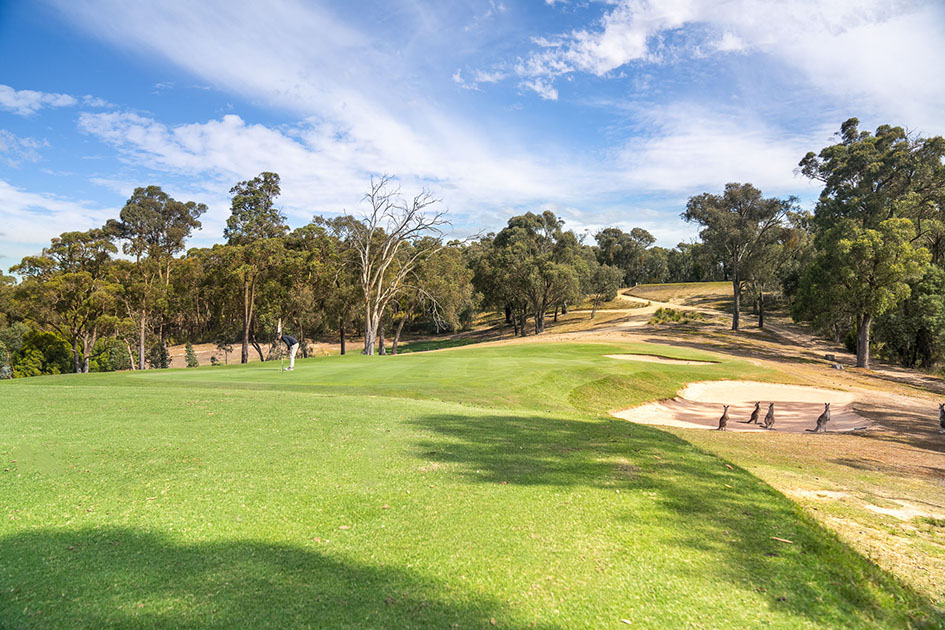 Hepburn Springs Golf Club to be acquired by GSM