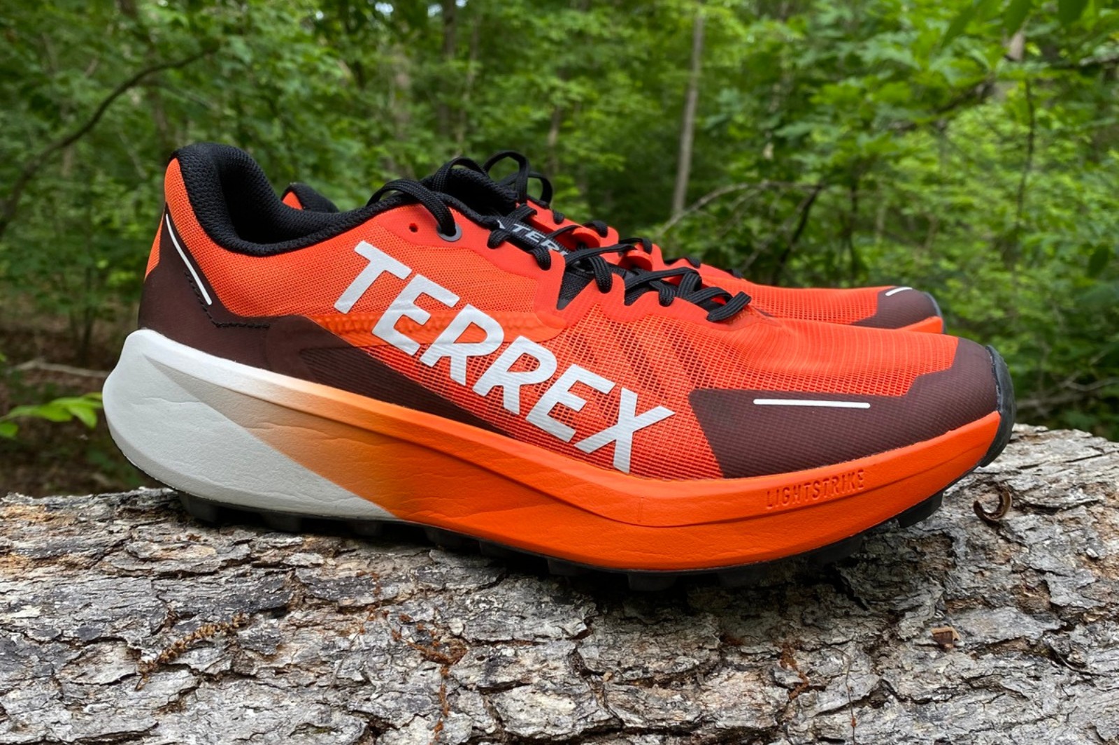 Adidas Terrex Agravic 3 Review: Budget Trail Buster Adidas Terrex Agravic 3 Review: Budget Trail Buster