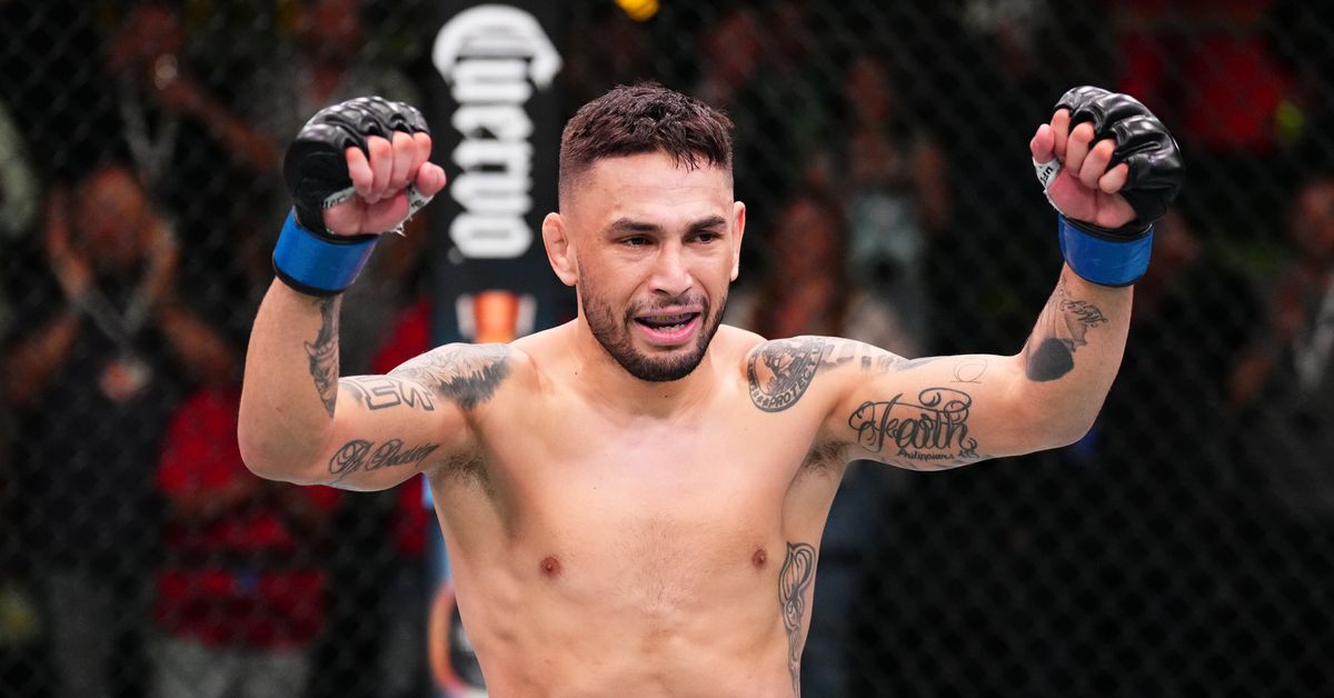 UFC Vegas 93 predictions