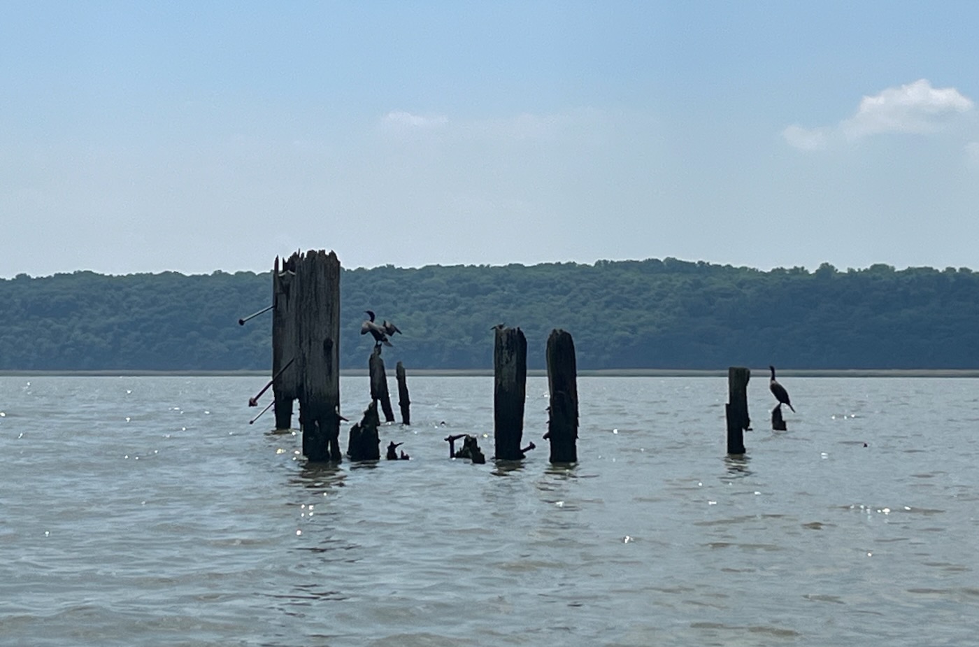 Piermont to Irvington by Kayak: Back in the Zone Piermont to Irvington by Kayak: Back in the Zone