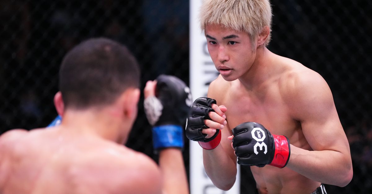 LIVE! UFC Vegas 93 Results, Streaming Updates