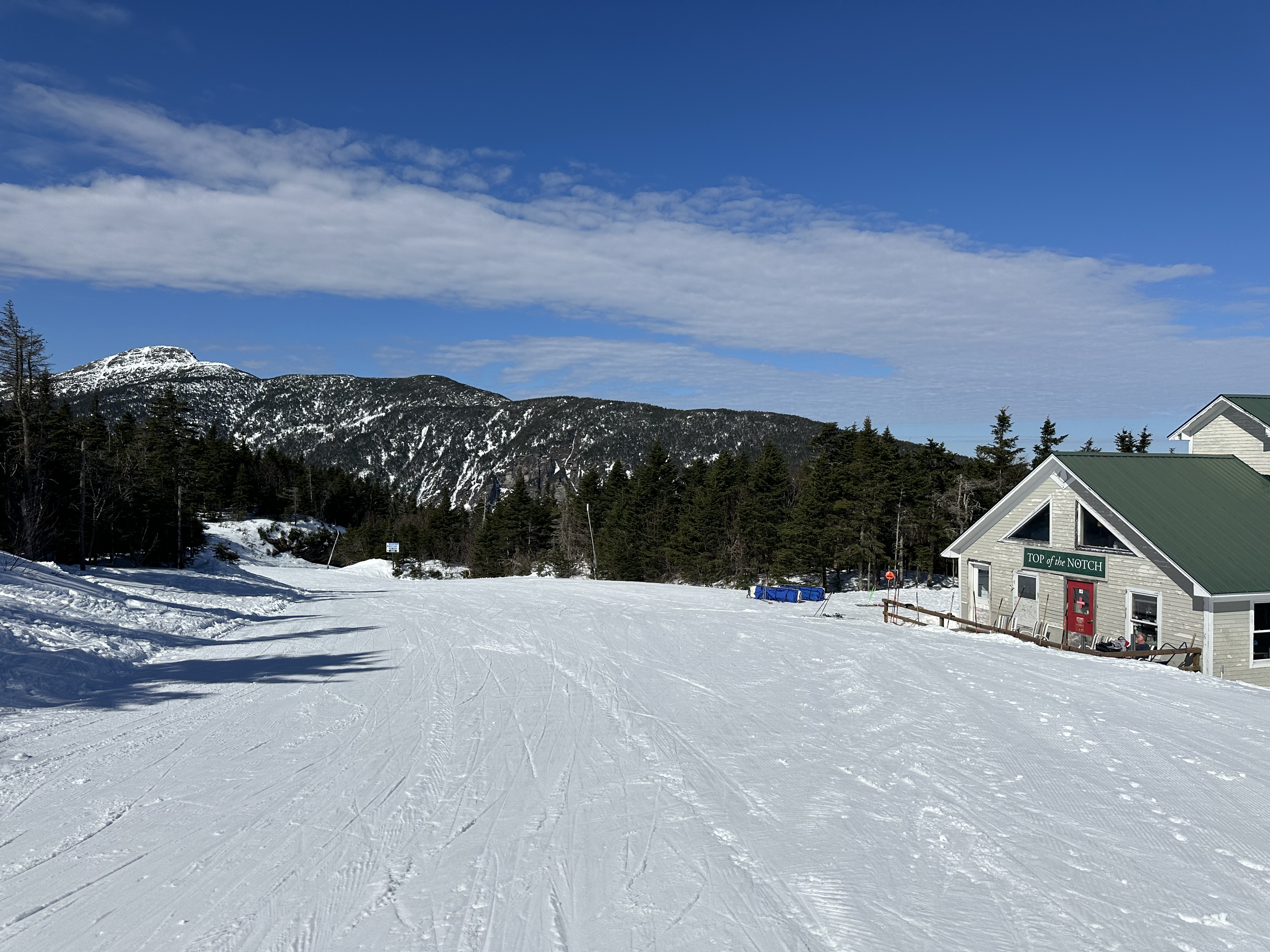 Sunshine and great spring conditions