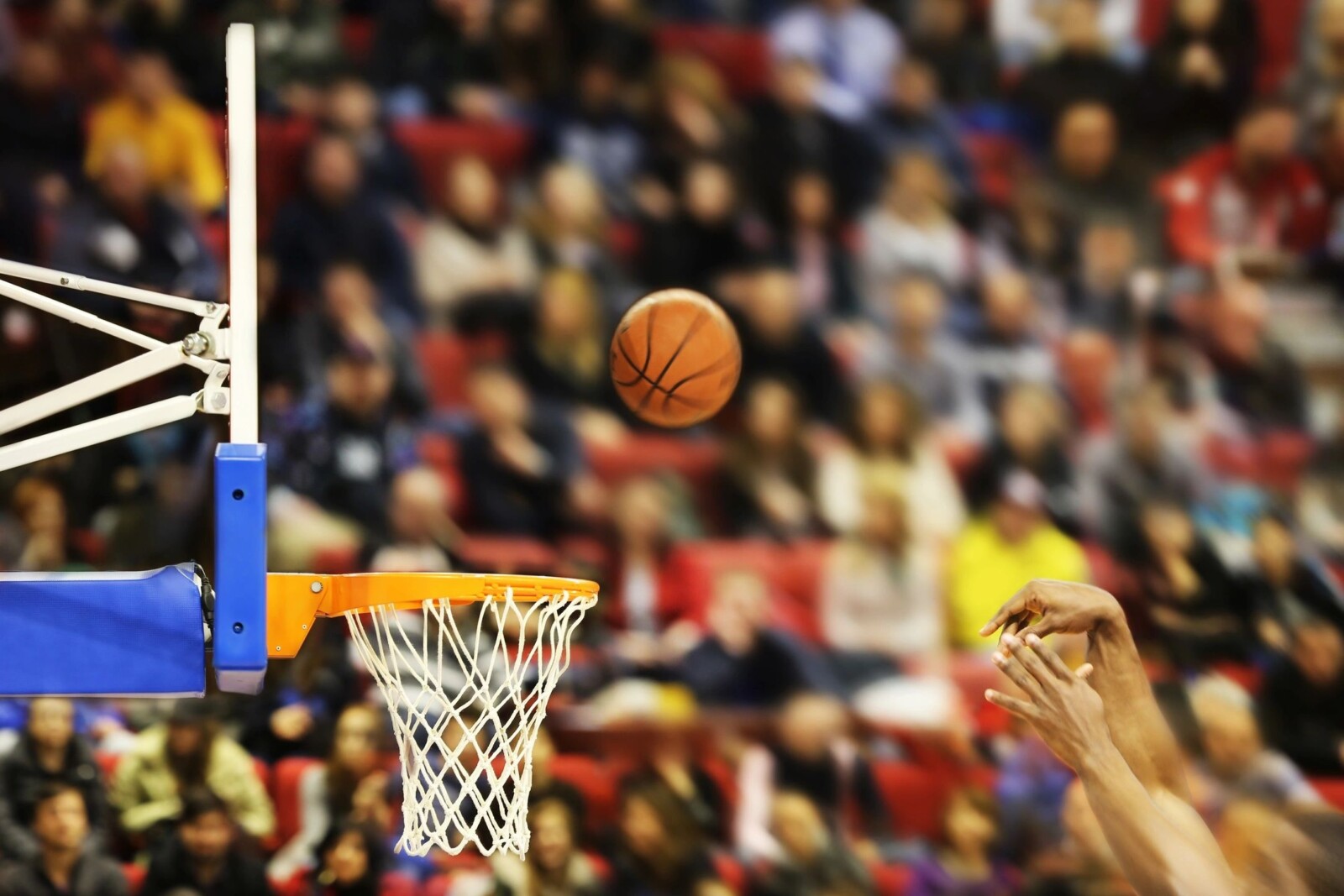 The Influence of NBA Stars on the Development of Youth Basketball