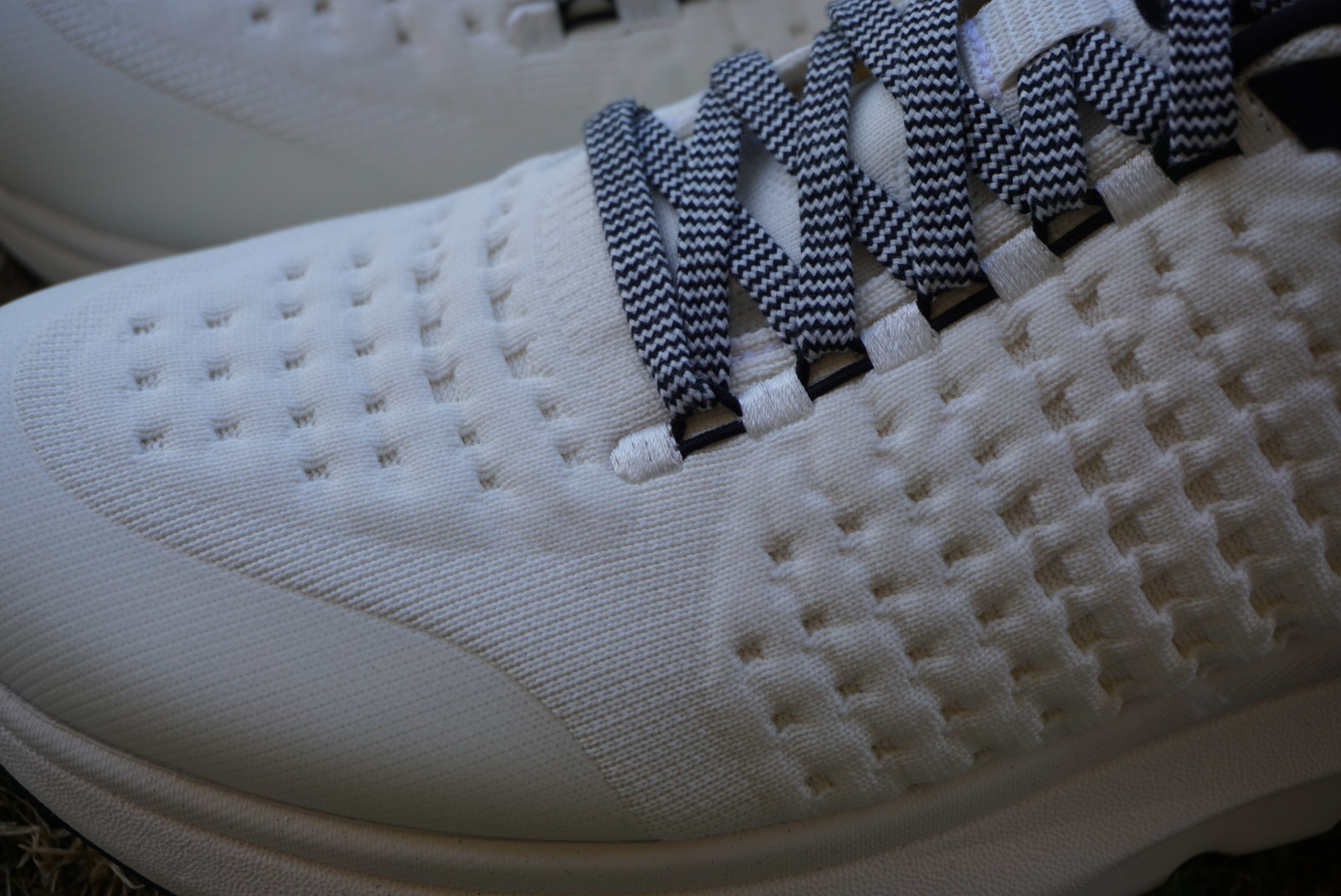 rabbit Dream Chaser Shoe Review