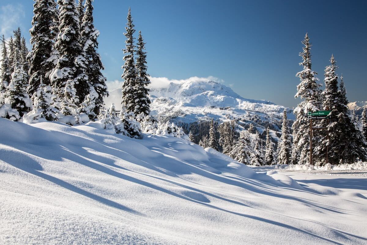 Whistler Resort Guide