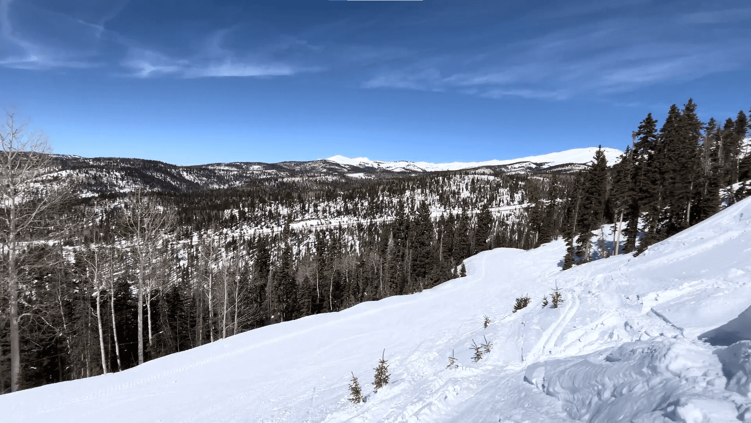Mountain Review: Eagle Point