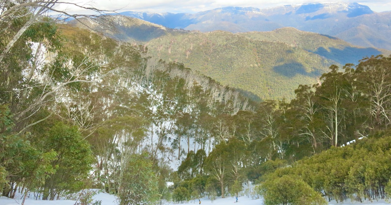 Cold Temperatures but Little Natural Snowfall Down Under
