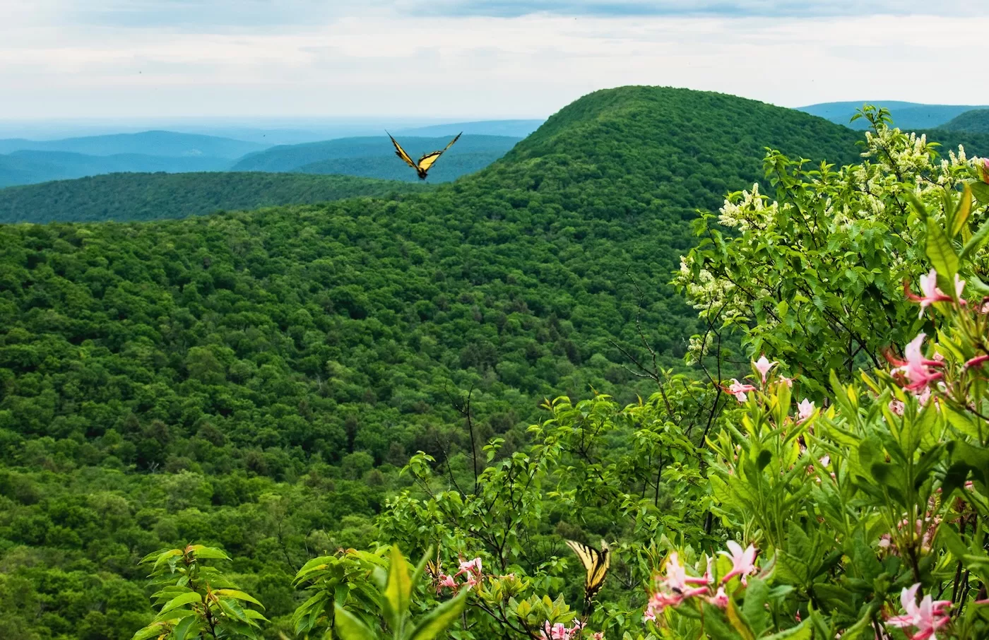 Spring Hiking in New York