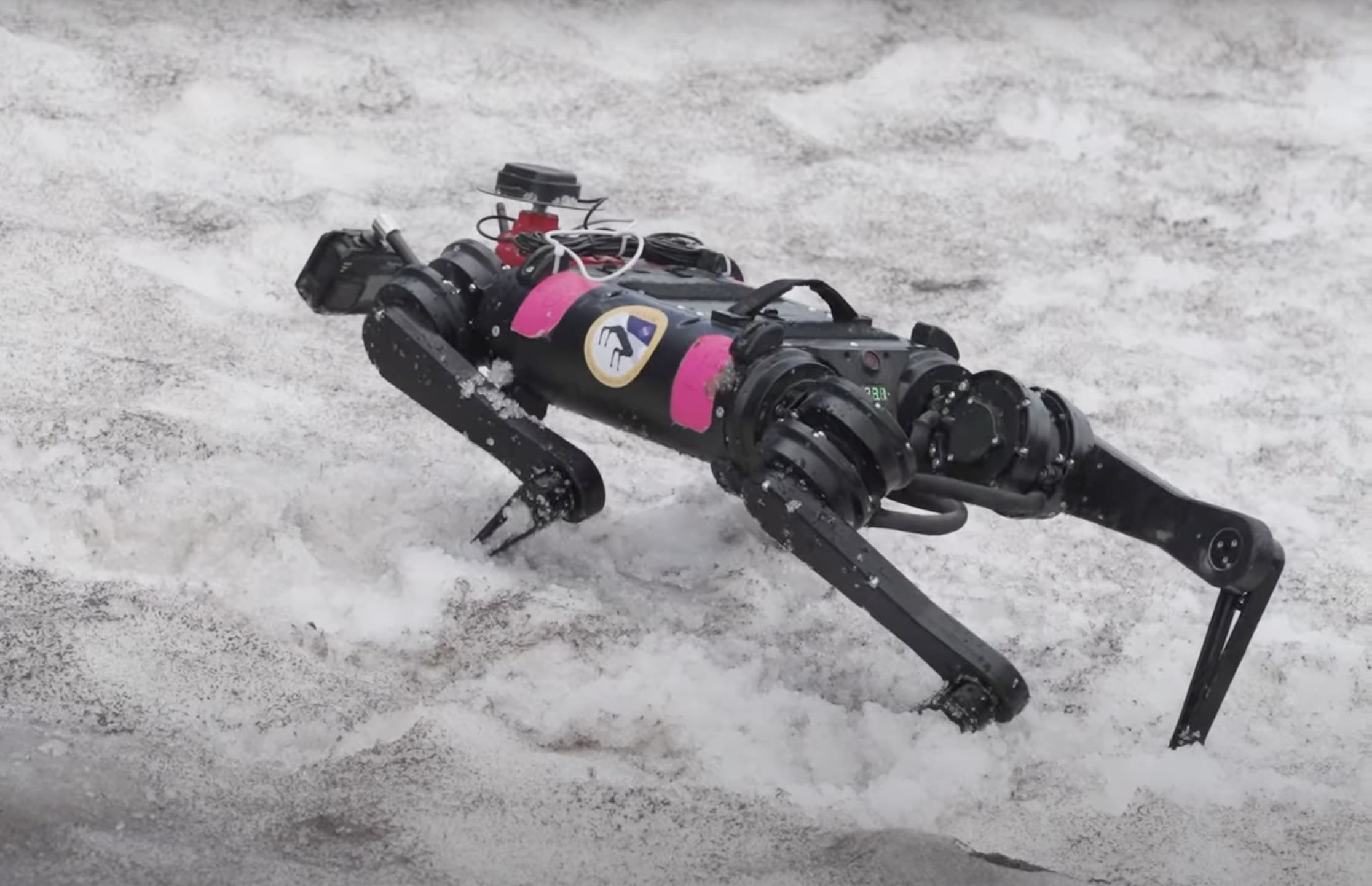 Quadrupedal “Dog-Like” Robot Trains For Space Exploration @ Mount Hood