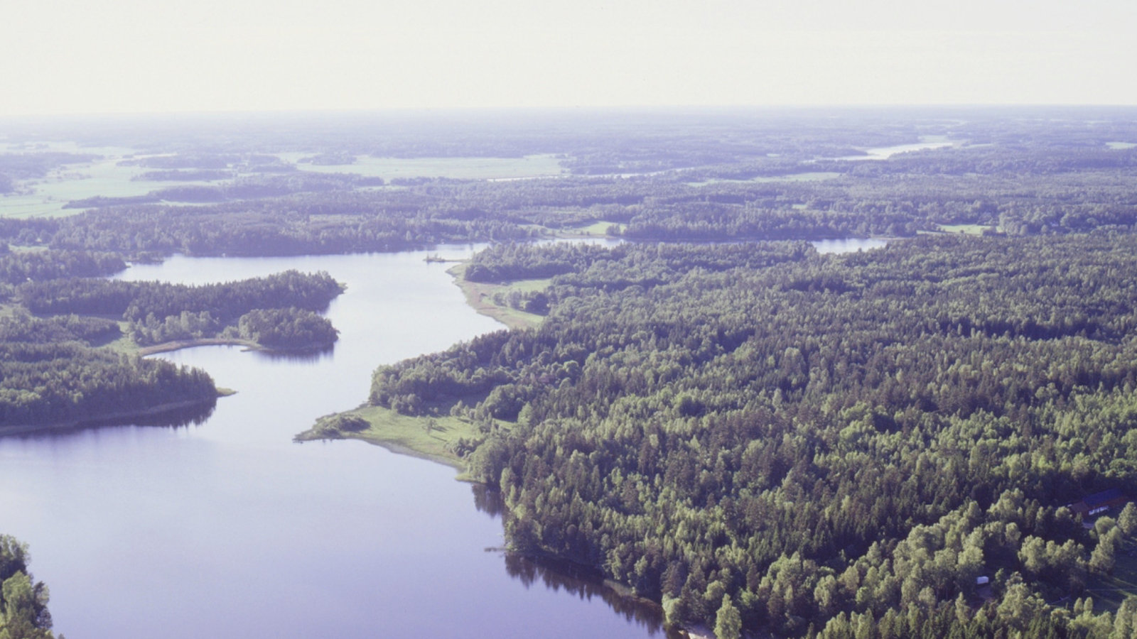 Race Through Paradise: The 6 Lakes Marathon—A Swedish Stunning Trail Adventure