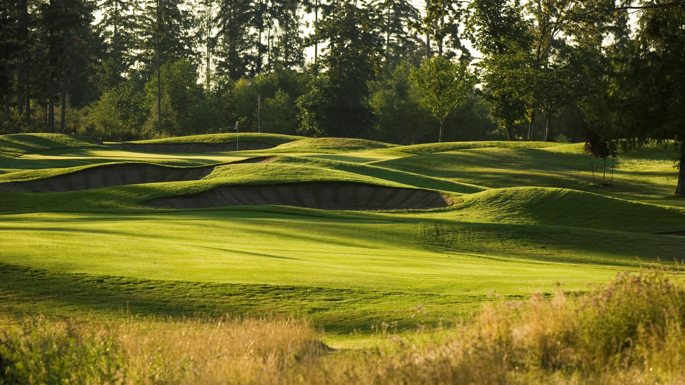 2024 Canadian Women’s Mid-Amateur set for Crown Isle Resort & Golf Community 2024 Canadian Women’s Mid-Amateur set for Crown Isle Resort & Golf Community