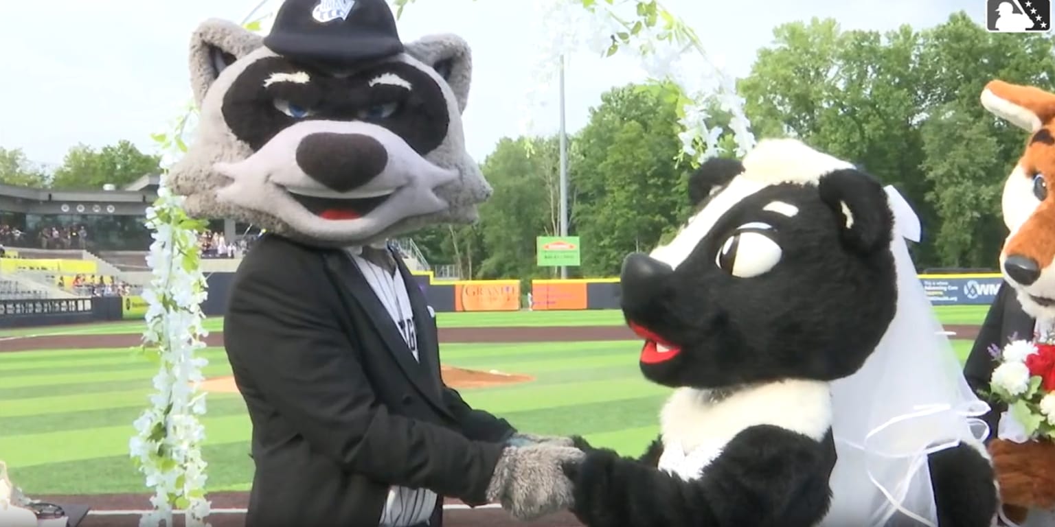 High-A Hudson Valley's mascots tie the knot between innings