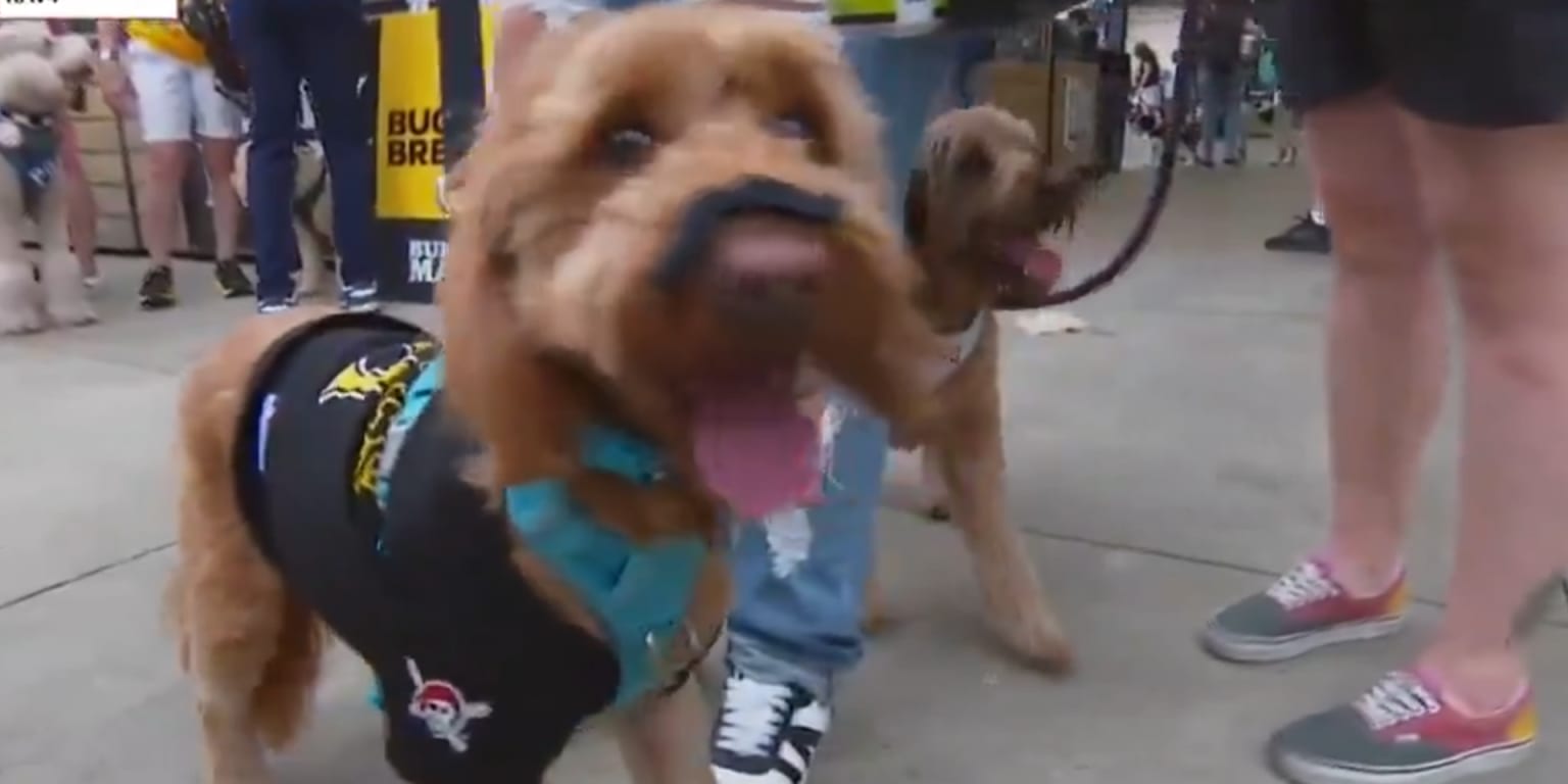 Puppies with 'staches? It must be Pawl Skenes night