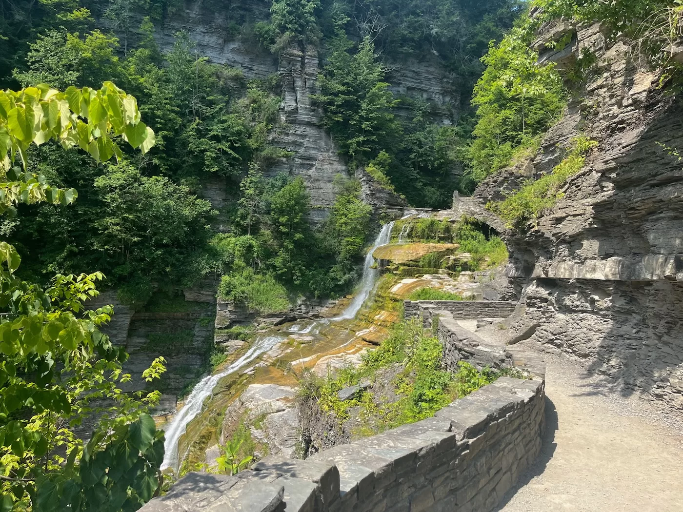 Robert H Treman State Park