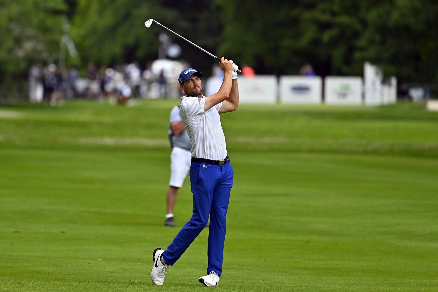 Harrington, Lawrie and Purcell shine as Griffin leads South qualifiers