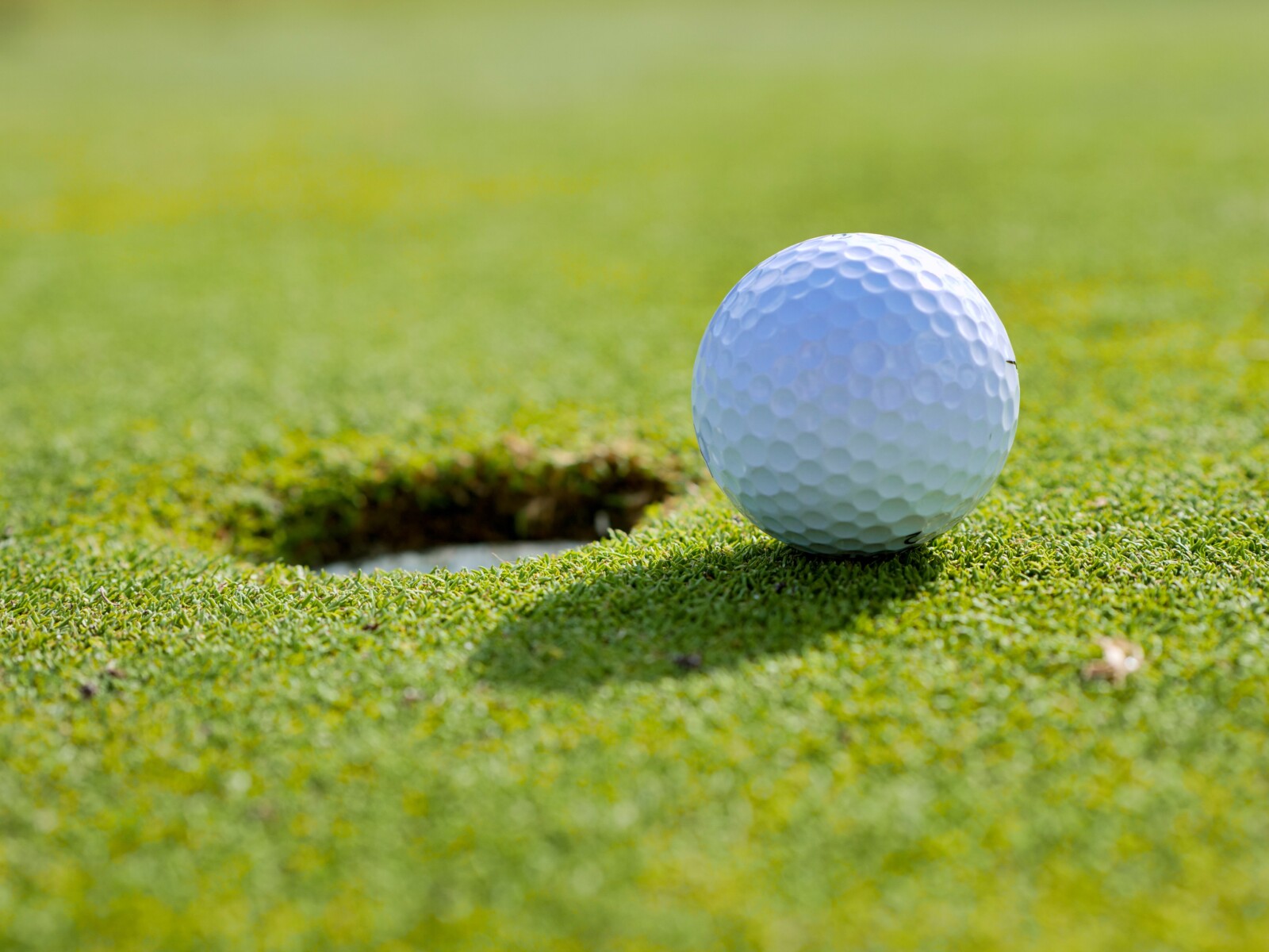Mastering The Greens — Essential Tips For Golf Beginners
