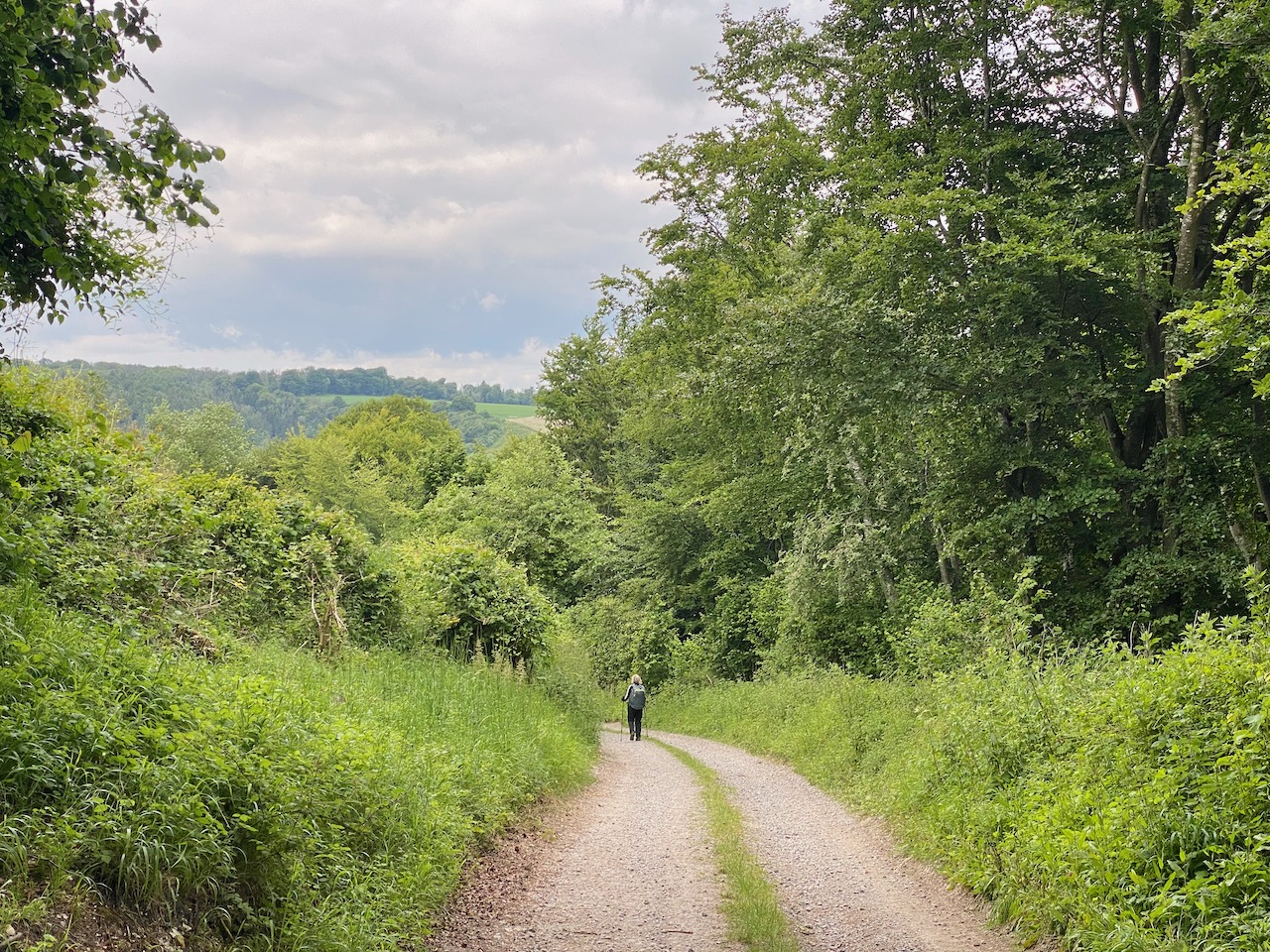 PlanetSKI is Back on The South Downs Way – Part 2