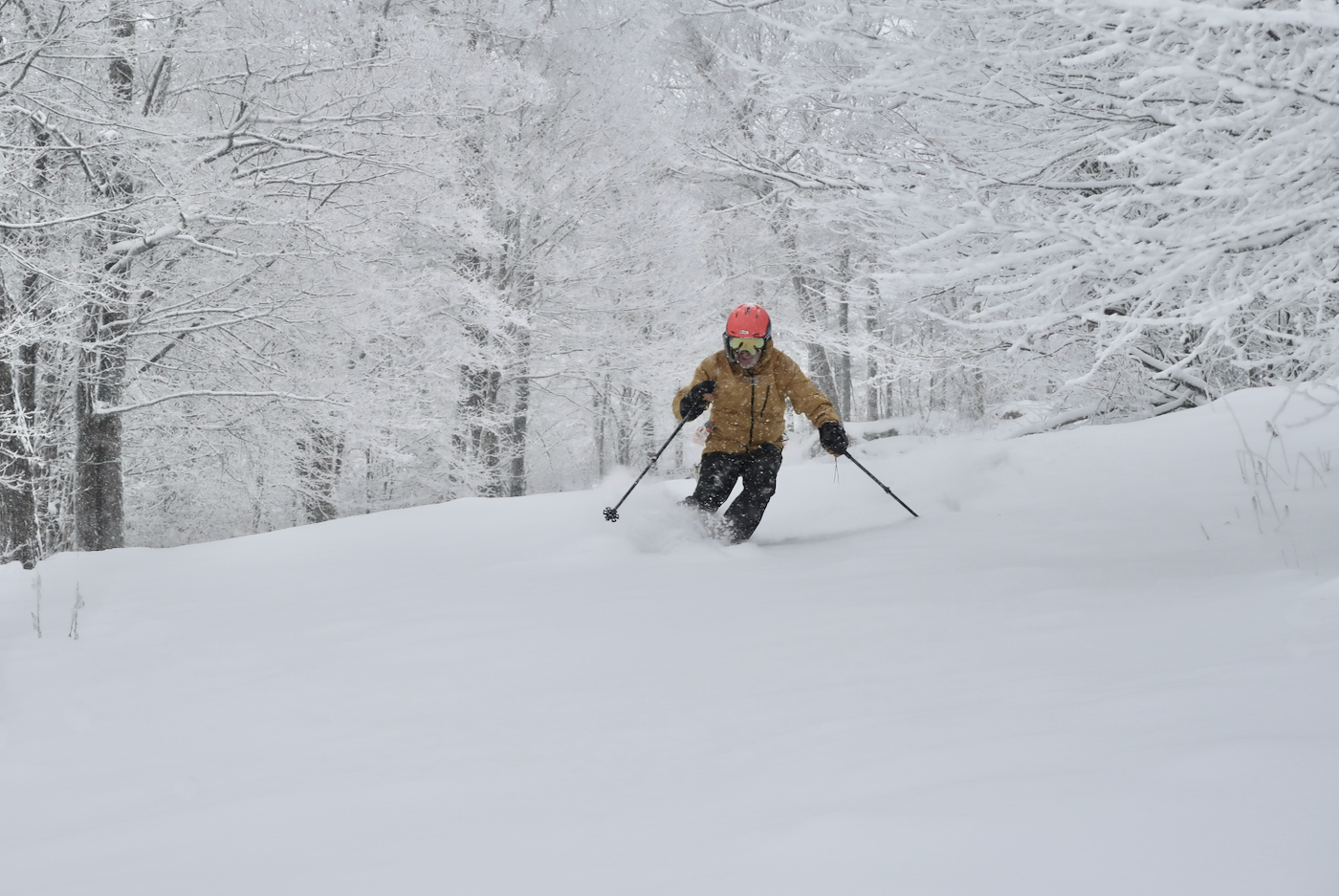 Catskill Quest: Cherries in the Snow