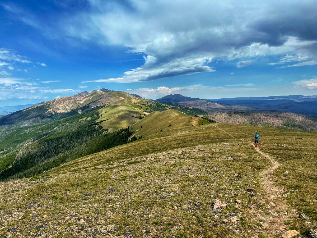 This Week In Running: July 29, 2024