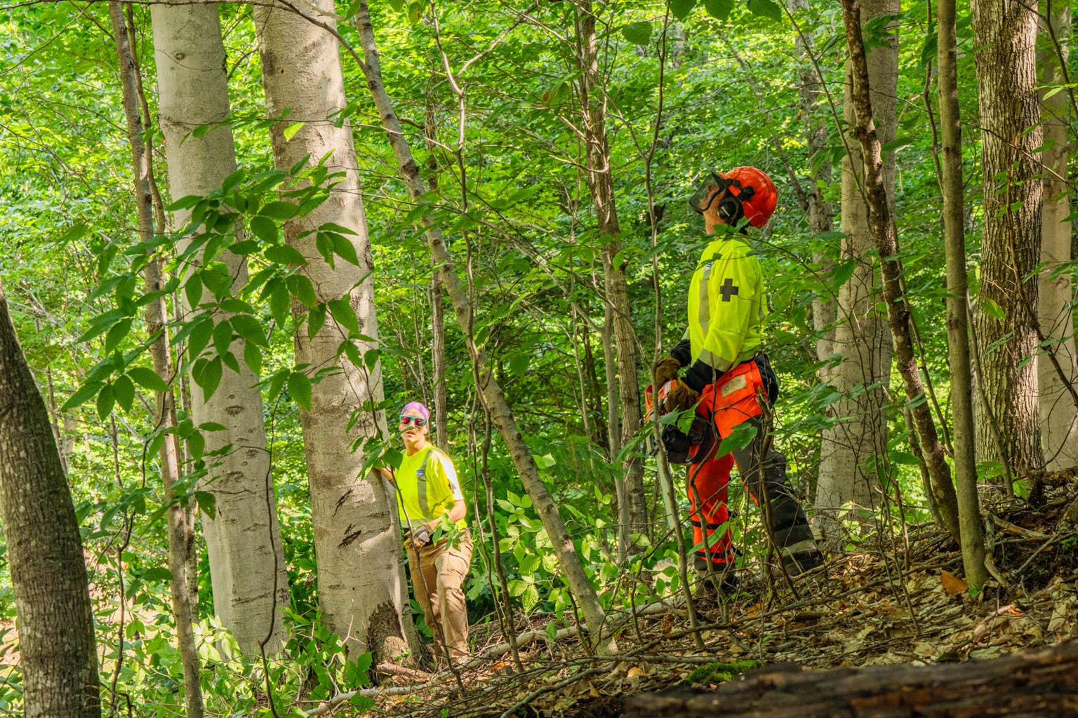 New Glades Coming to Boyne Mountain Resort, Michigan