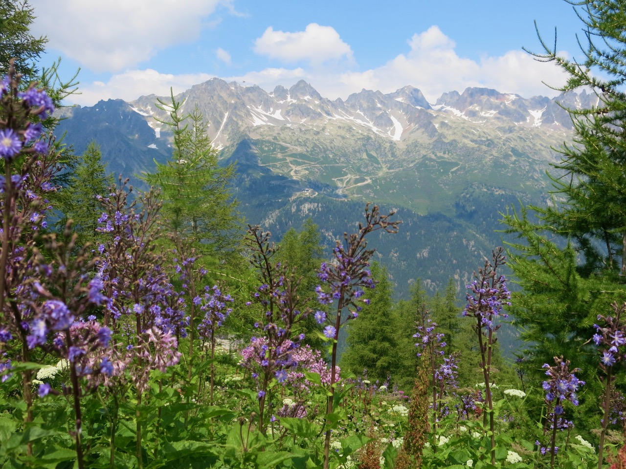 Head to the Mountains to Keep Cool in the Summer Head to the Mountains to Keep Cool in the Summer