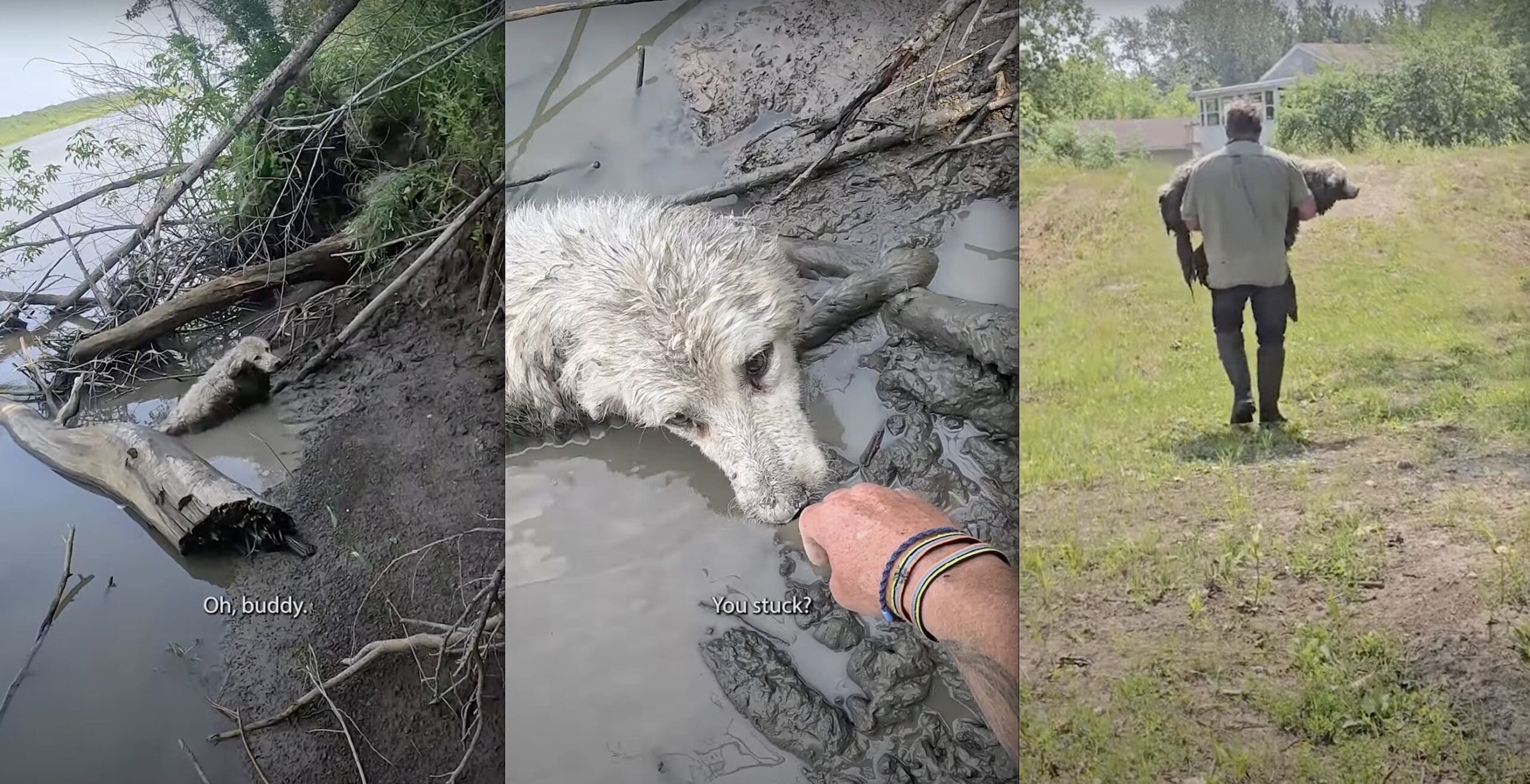 Man Canoeing Across Canada Saves 14-Year-Old Dog Stuck In Manitoba River Man Canoeing Across Canada Saves 14-Year-Old Dog Stuck In Manitoba River
